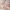 Ultratunna stay-ups i 8 den_LIA006_color_001