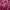 Верх Купальника Треугольник со Съемными Вкладышами Glowing Surface_0RTE1806_color_054E