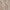 Socken mit Lochmuster_DC0571_color_291D