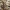 Dlhé pareo so zvieracím vzorom_0BDG155_color_031E