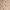 Nätstrumpbyxor med blommor_MODC2149_color_5451