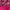 Bikinislip met Strikjes Glowing Surface_0SNF1806_color_054E