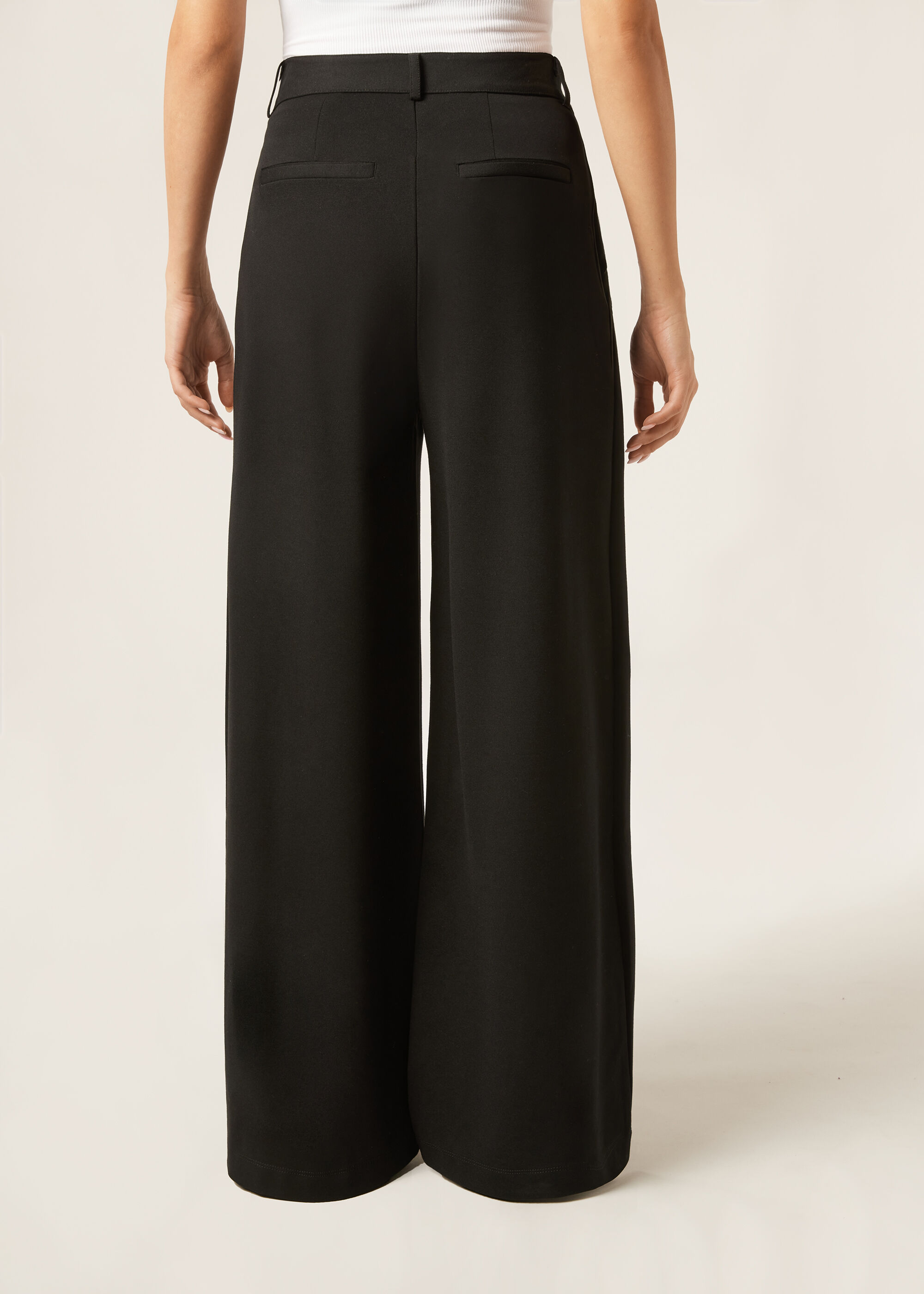 Pleated Trousers
