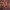 Dlouhé pareo s potiskem džungle_0BDG155_color_033E