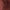 Носки с Цветочным Узором_DCZ068_color_5286