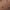 Прозорі Матові Колготки в Горох 20 Ден_LIC050_color_3782