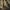 Dlouhé pareo s potiskem džungle_0BDG155_color_031E