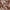 Dlouhé pareo s potiskem džungle_0BDG155_color_028E